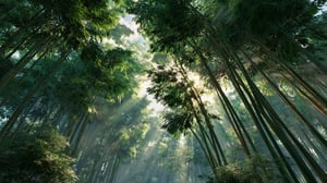 A_grove_of_tall_green_bamboo_bending1